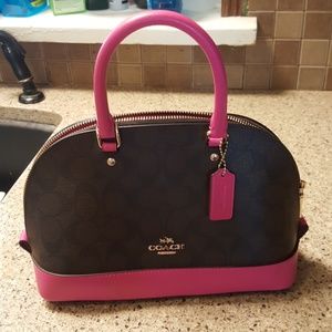 Mini Coach Purse